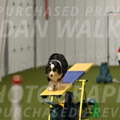 Amazing-Grace-Claudia-Brydon-01869