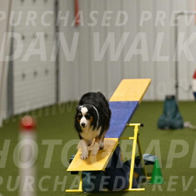 Amazing-Grace-Claudia-Brydon-01870