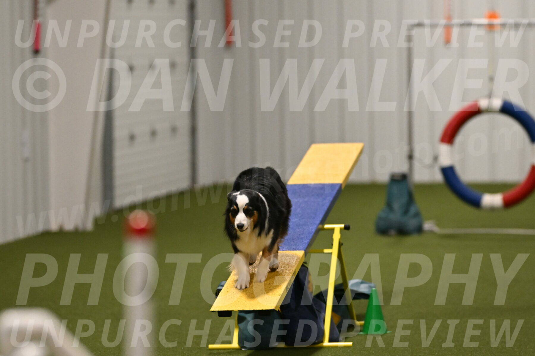 Amazing-Grace-Claudia-Brydon-01870