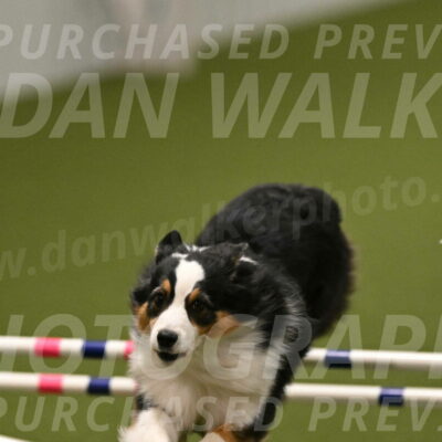 Amazing-Grace-Claudia-Brydon-01871