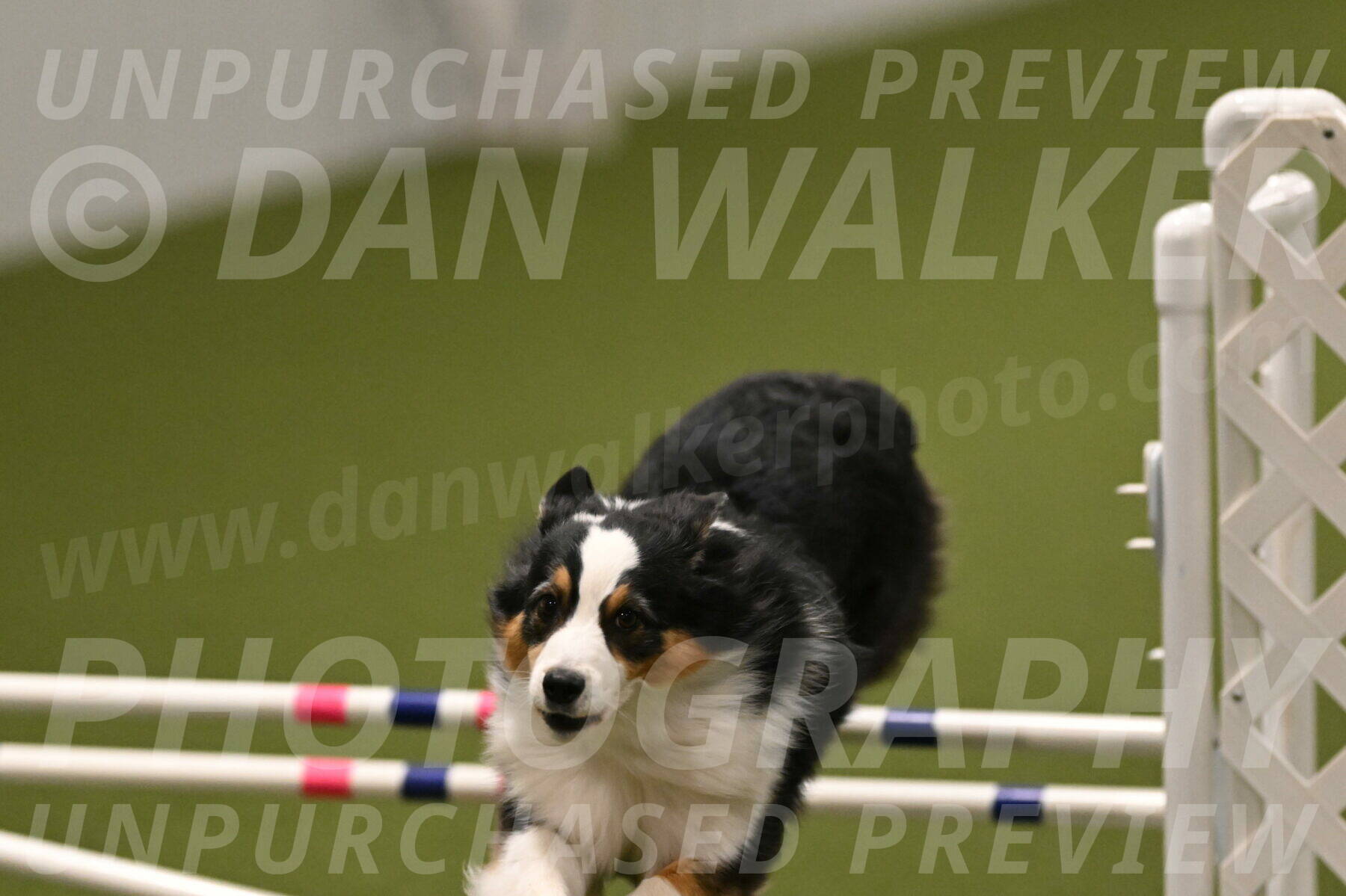 Amazing-Grace-Claudia-Brydon-01871