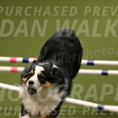 Amazing-Grace-Claudia-Brydon-01872