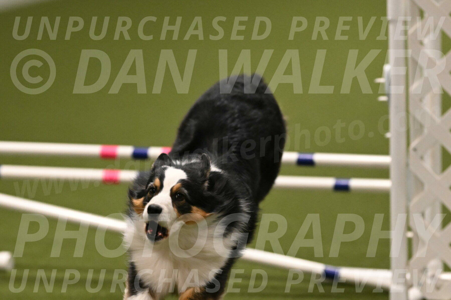 Amazing-Grace-Claudia-Brydon-01872