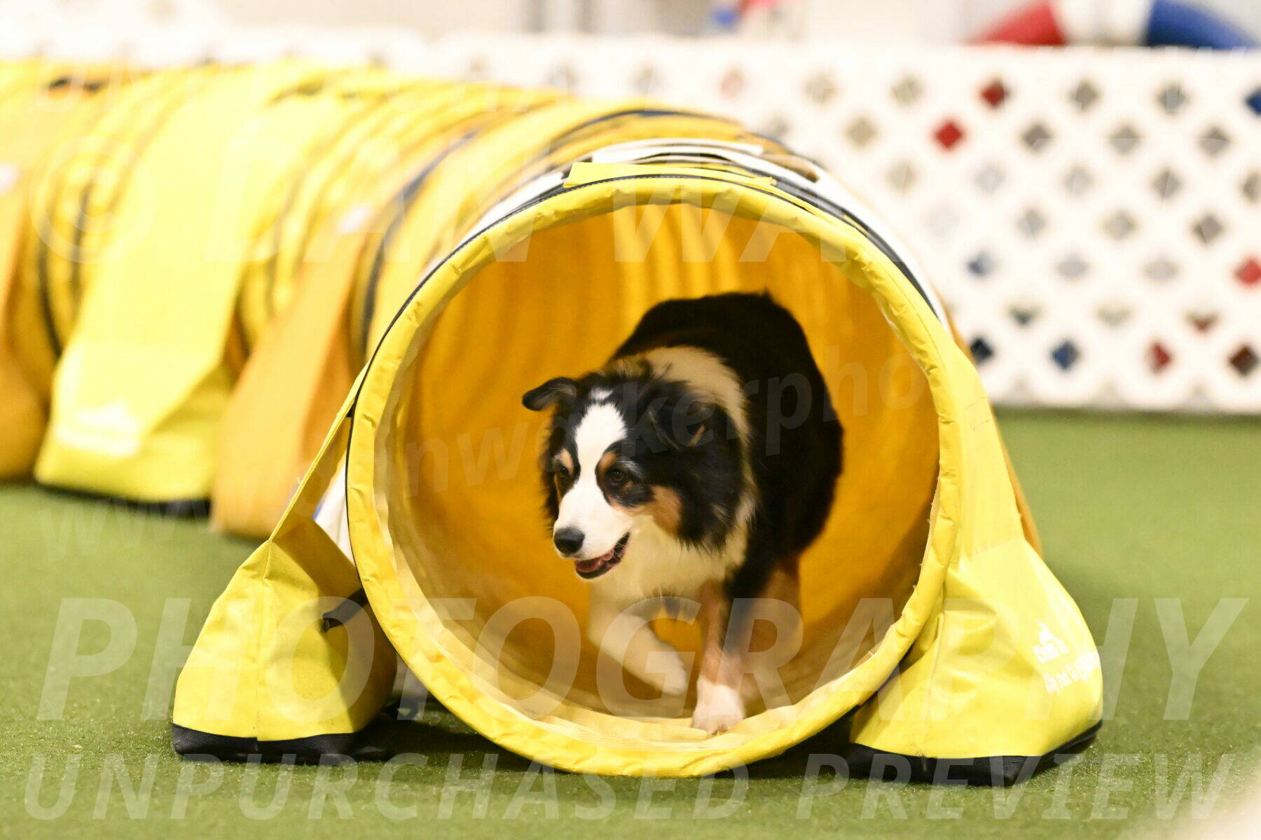 Amazing-Grace-Claudia-Brydon-01873