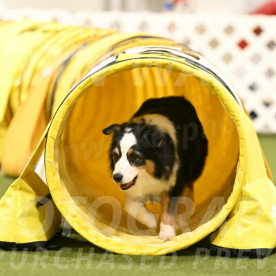 Amazing-Grace-Claudia-Brydon-01873