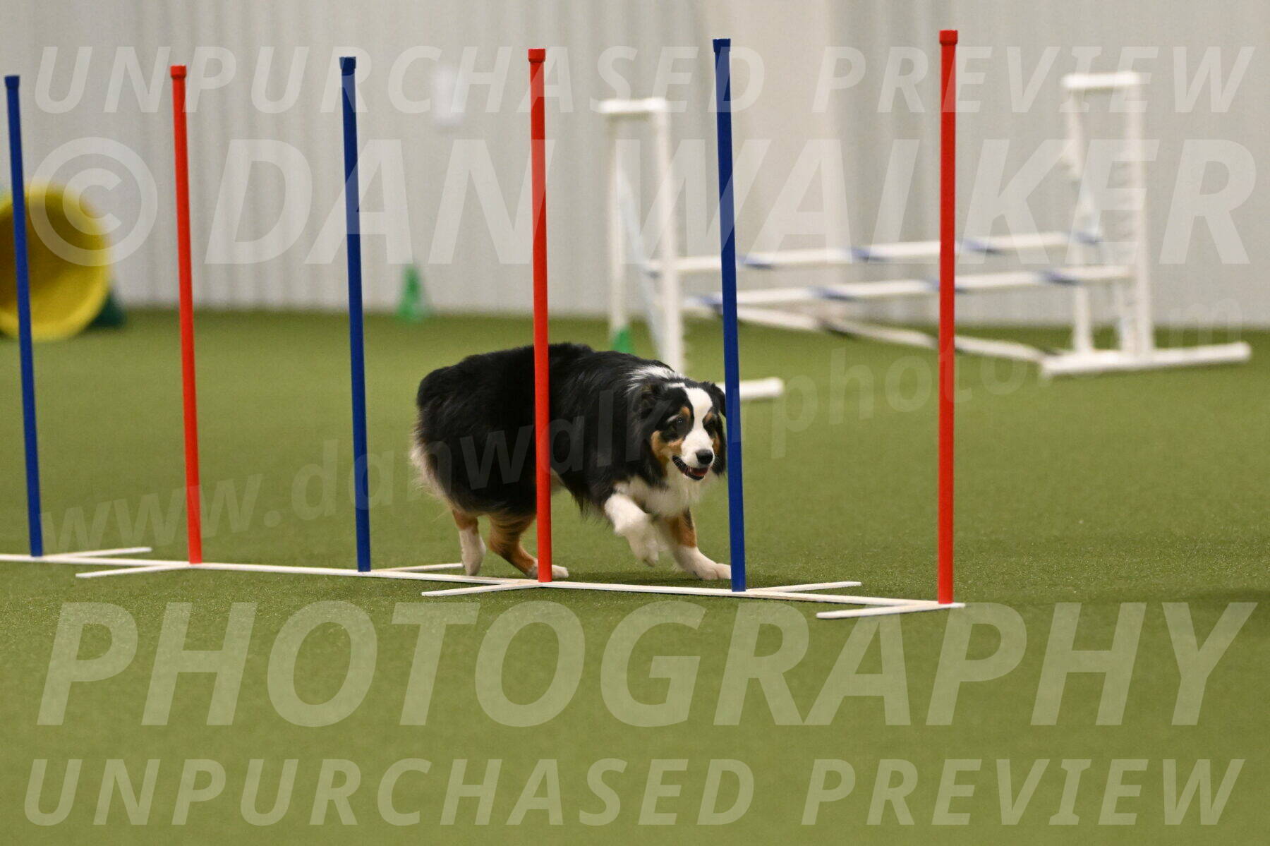 Amazing-Grace-Claudia-Brydon-01874