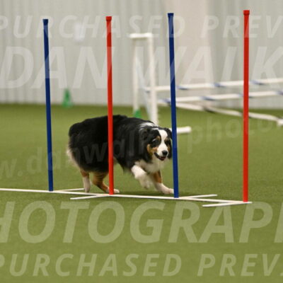 Amazing-Grace-Claudia-Brydon-01874