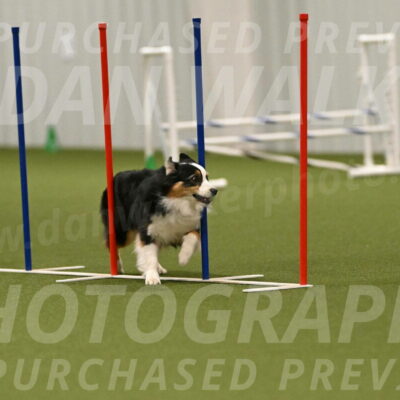 Amazing-Grace-Claudia-Brydon-01875