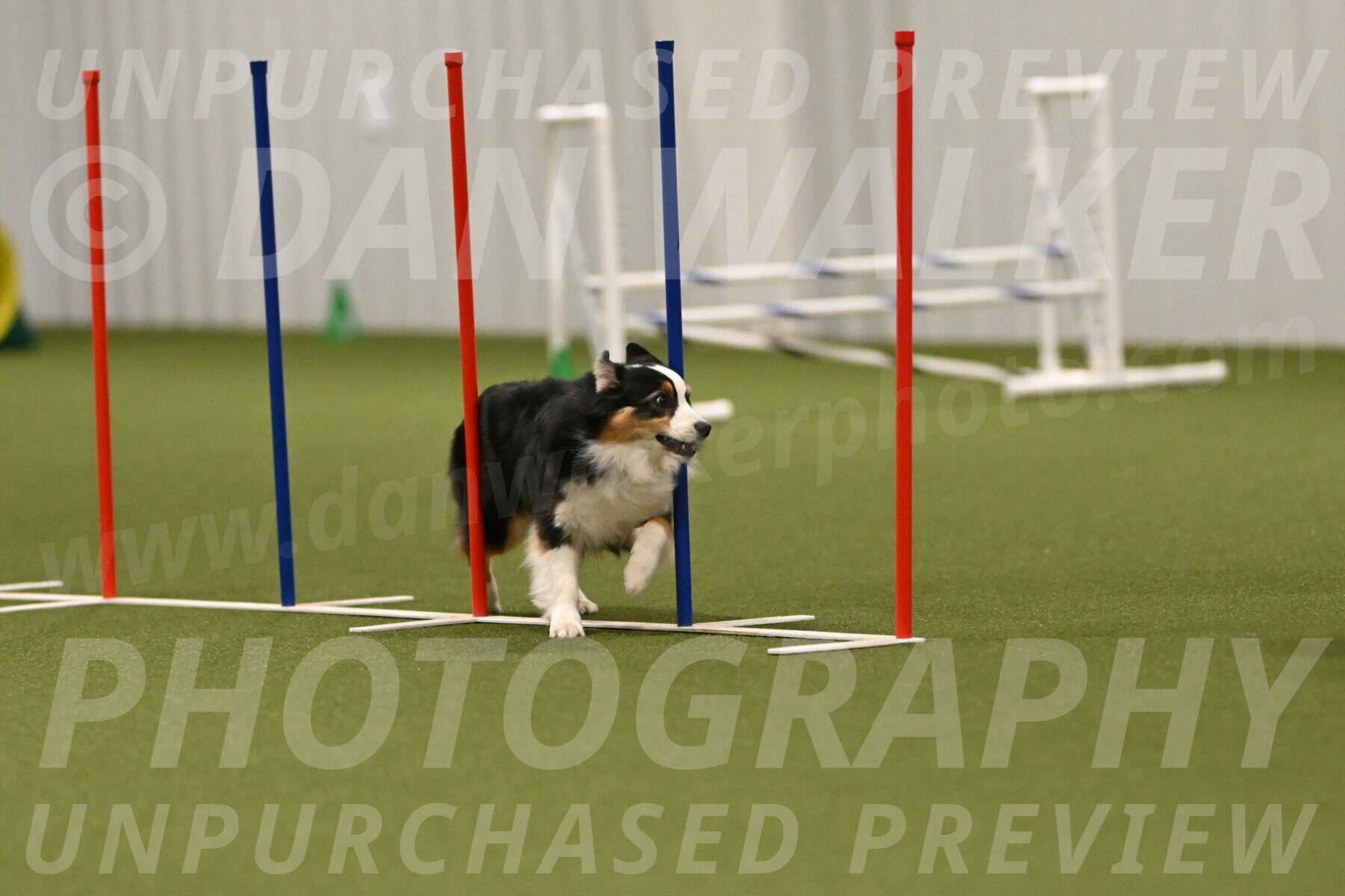 Amazing-Grace-Claudia-Brydon-01875