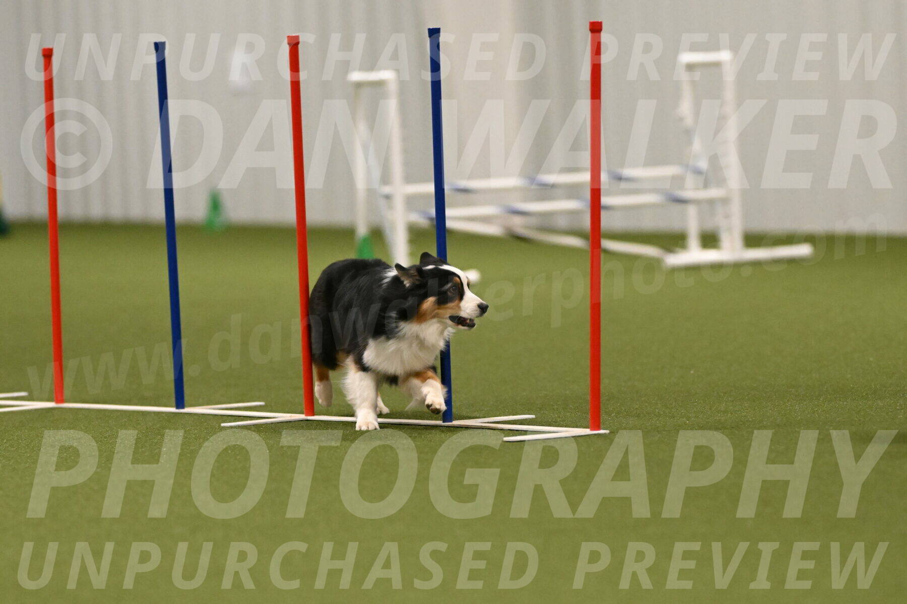 Amazing-Grace-Claudia-Brydon-01876