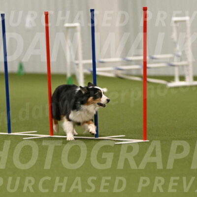 Amazing-Grace-Claudia-Brydon-01876