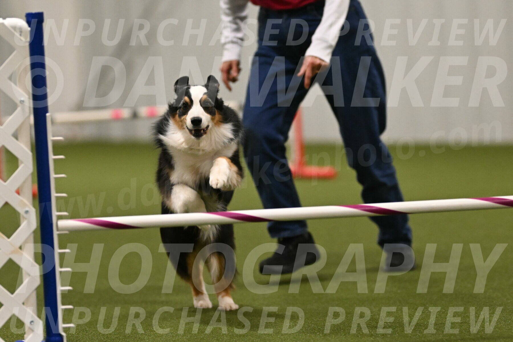 Amazing-Grace-Claudia-Brydon-01877