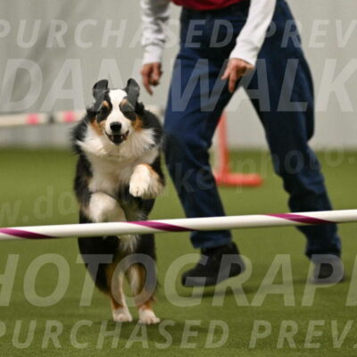 Amazing-Grace-Claudia-Brydon-01877