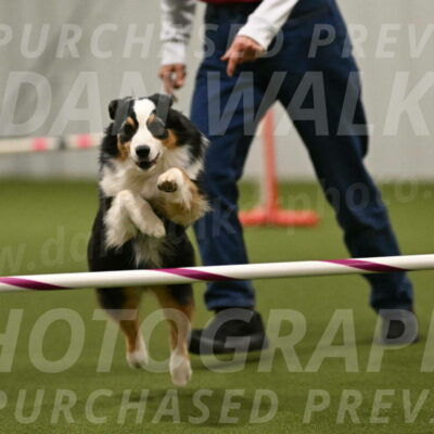 Amazing-Grace-Claudia-Brydon-01878