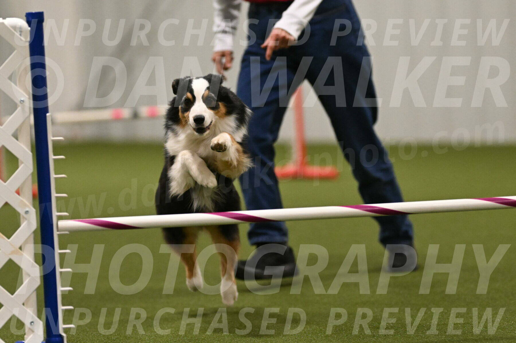 Amazing-Grace-Claudia-Brydon-01878