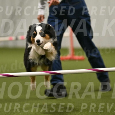 Amazing-Grace-Claudia-Brydon-01879