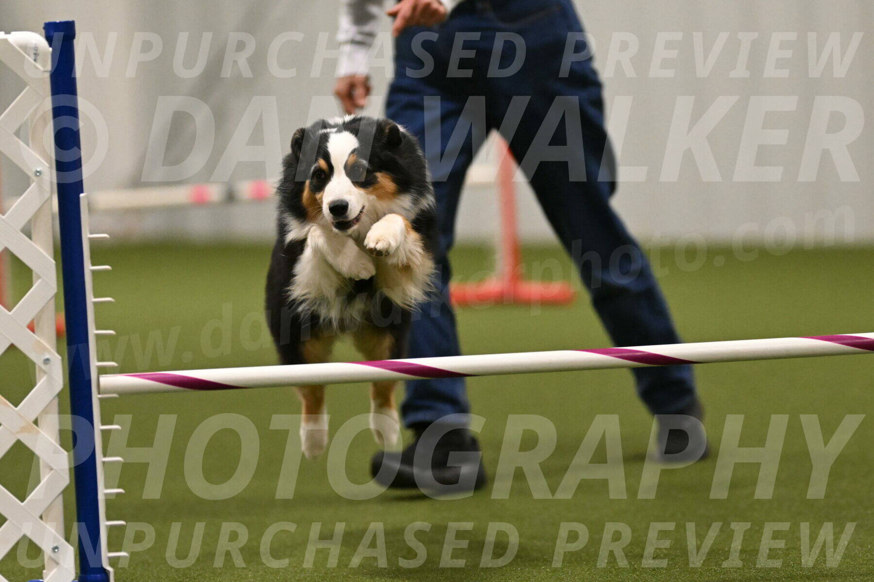 Amazing-Grace-Claudia-Brydon-01879