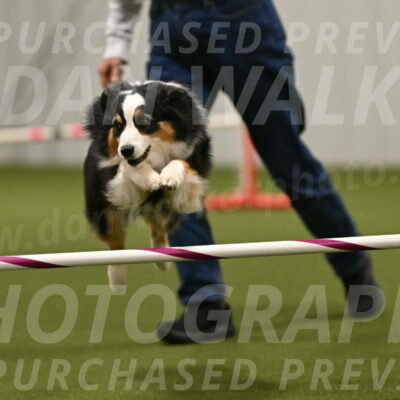 Amazing-Grace-Claudia-Brydon-01880