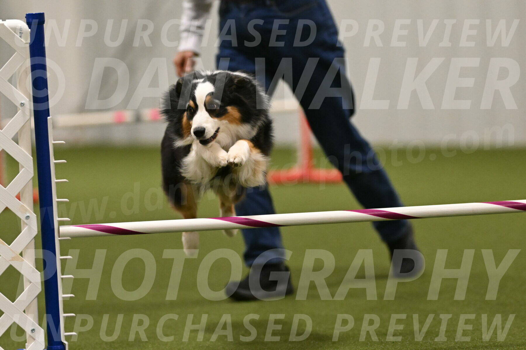 Amazing-Grace-Claudia-Brydon-01880