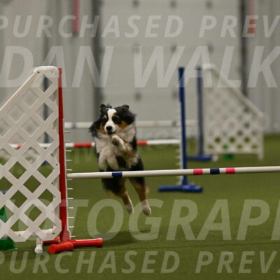 Amazing-Grace-Claudia-Brydon-01881