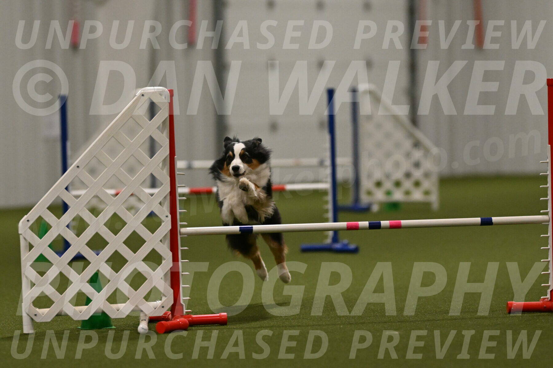 Amazing-Grace-Claudia-Brydon-01881