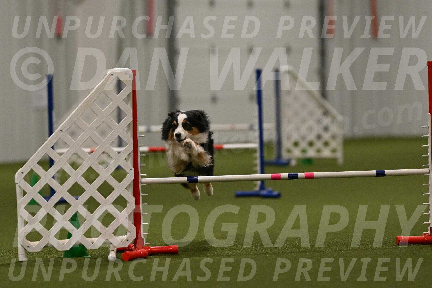 Amazing-Grace-Claudia-Brydon-01882