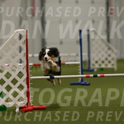 Amazing-Grace-Claudia-Brydon-01882