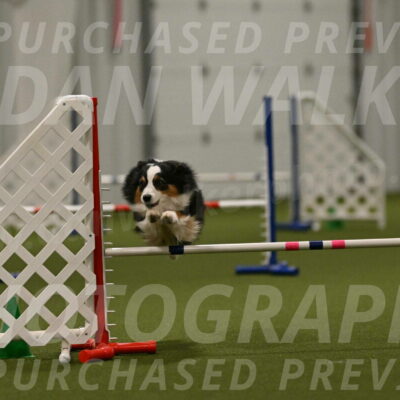 Amazing-Grace-Claudia-Brydon-01883