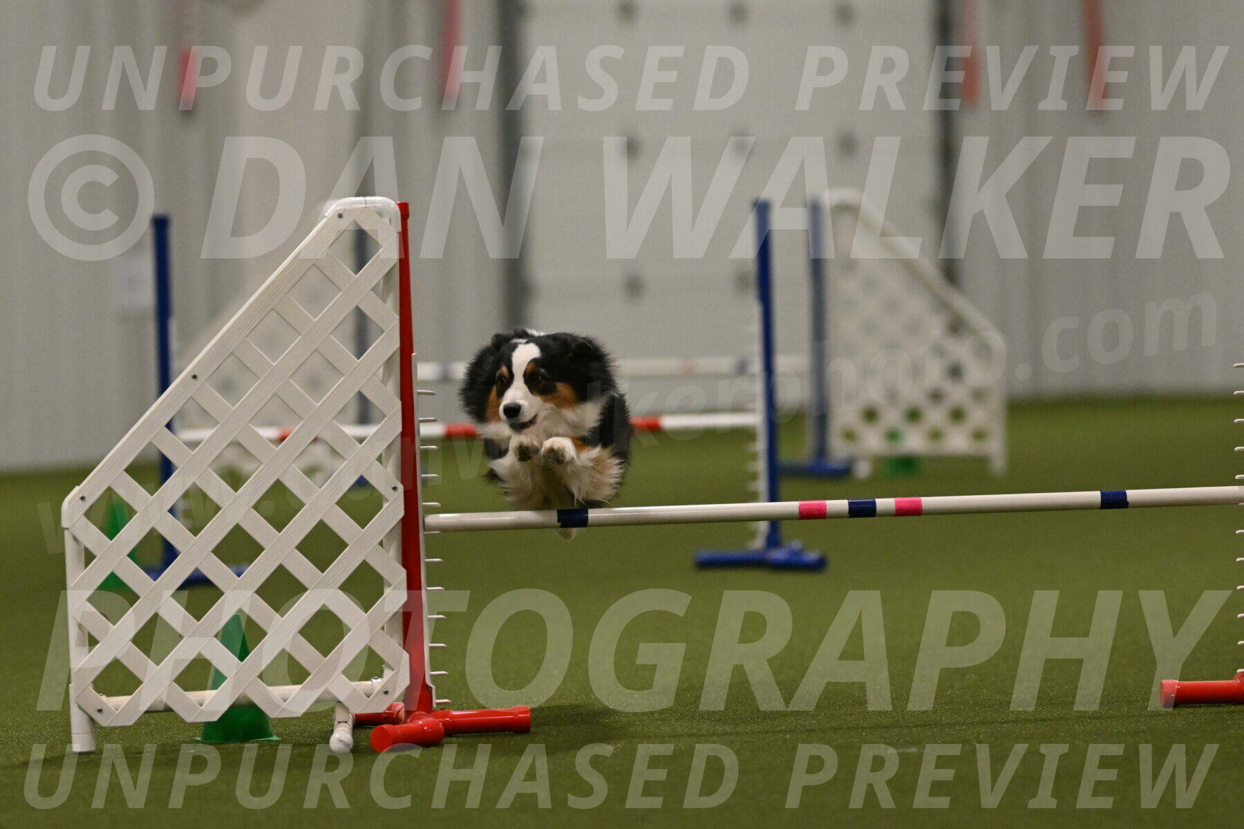 Amazing-Grace-Claudia-Brydon-01883