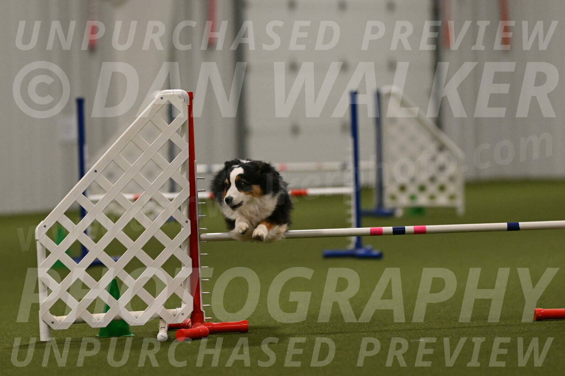 Amazing-Grace-Claudia-Brydon-01884