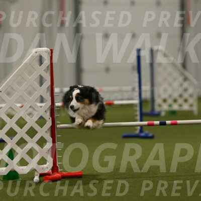 Amazing-Grace-Claudia-Brydon-01884