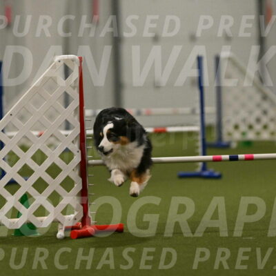 Amazing-Grace-Claudia-Brydon-01885