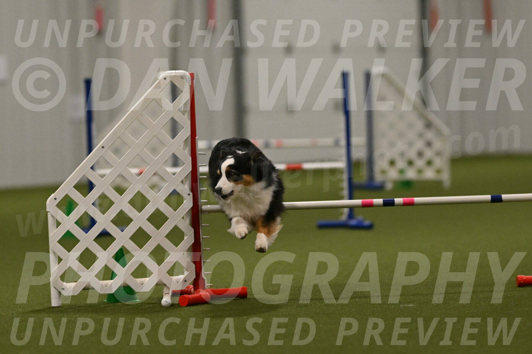 Amazing-Grace-Claudia-Brydon-01885