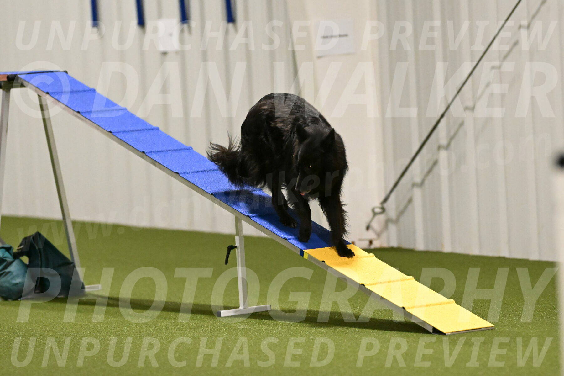 Ana-Jamie-Thompson-08997