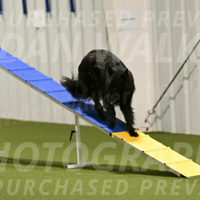 Ana-Jamie-Thompson-08997