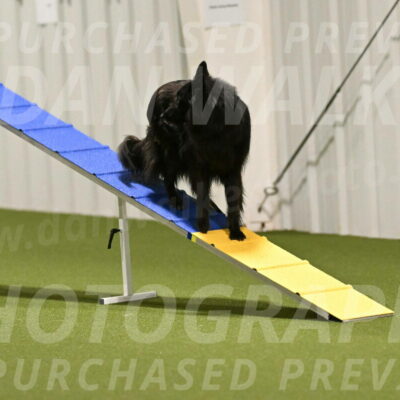 Ana-Jamie-Thompson-08998