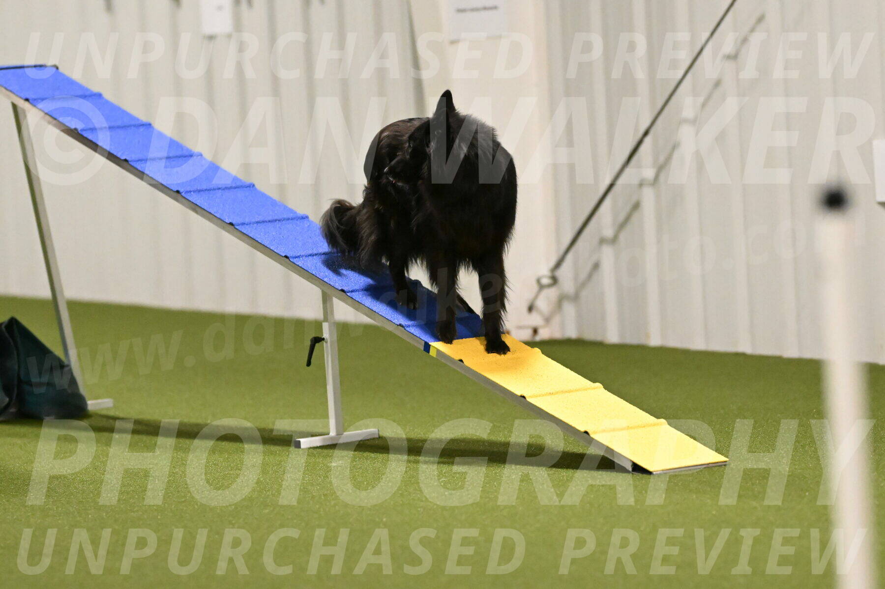 Ana-Jamie-Thompson-08998