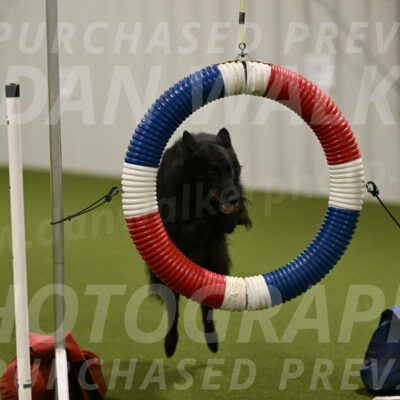 Ana-Jamie-Thompson-08999