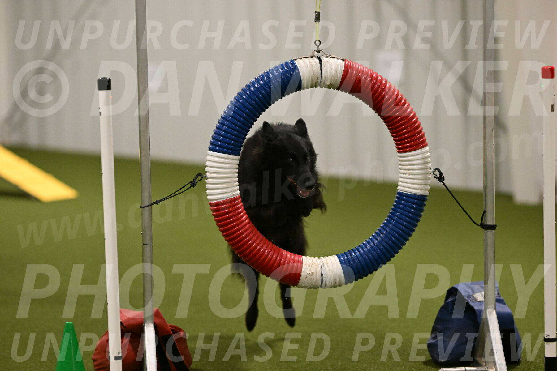 Ana-Jamie-Thompson-08999