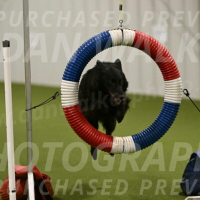 Ana-Jamie-Thompson-09000