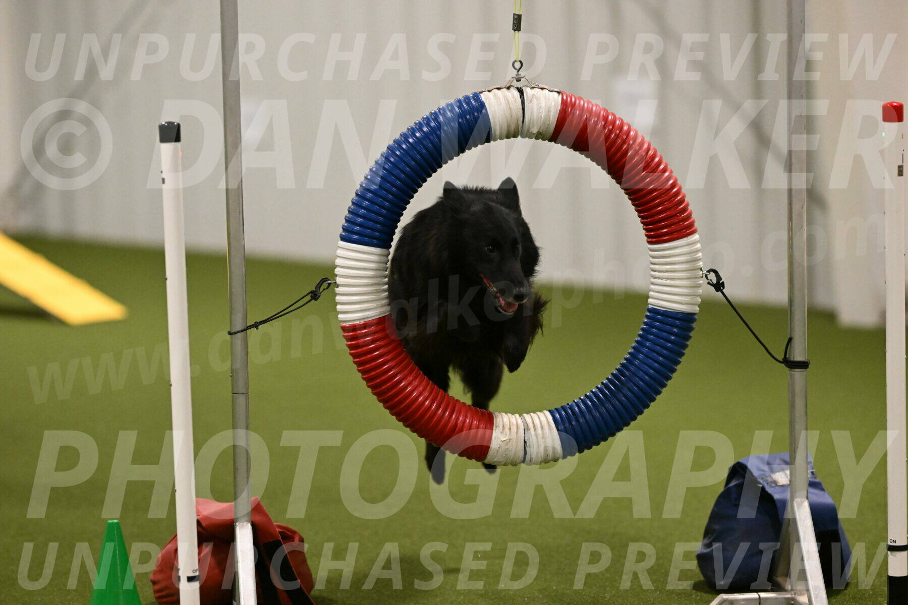 Ana-Jamie-Thompson-09000