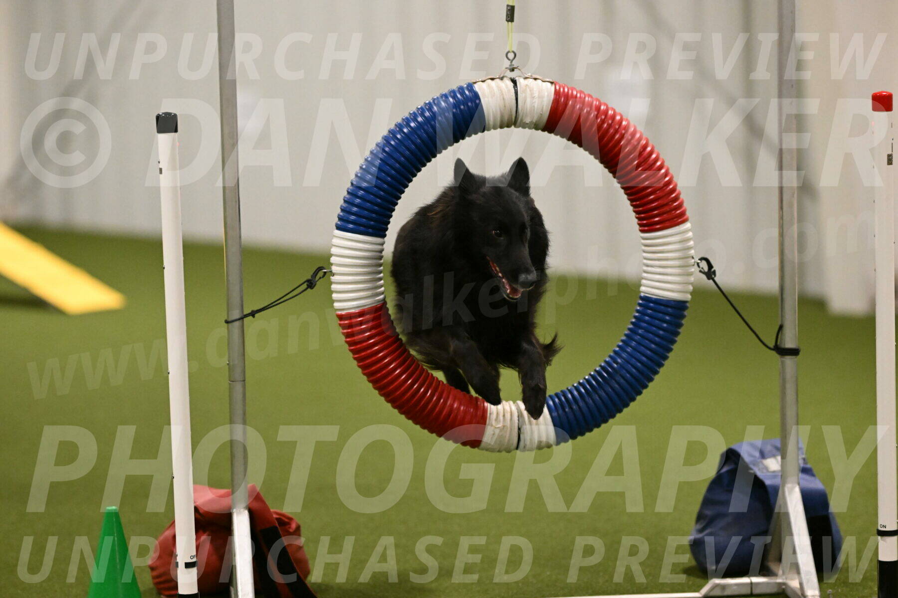 Ana-Jamie-Thompson-09001