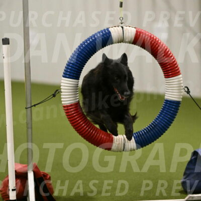 Ana-Jamie-Thompson-09001