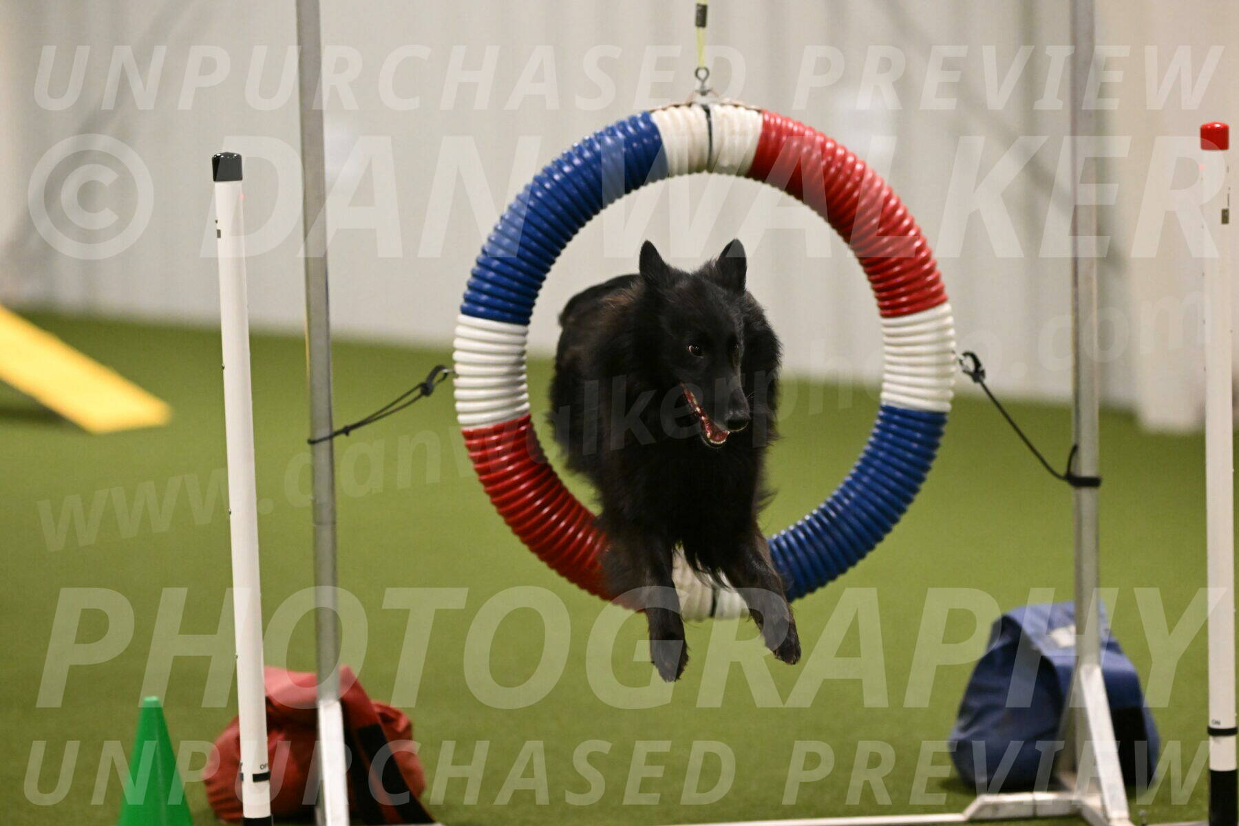 Ana-Jamie-Thompson-09002