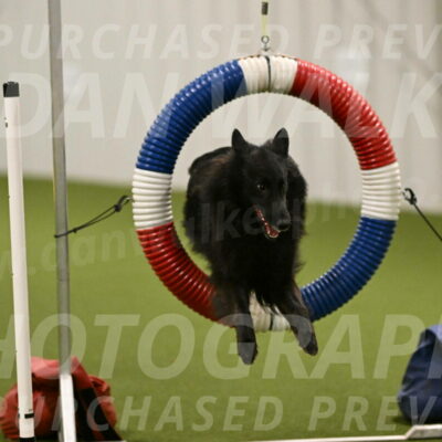 Ana-Jamie-Thompson-09002