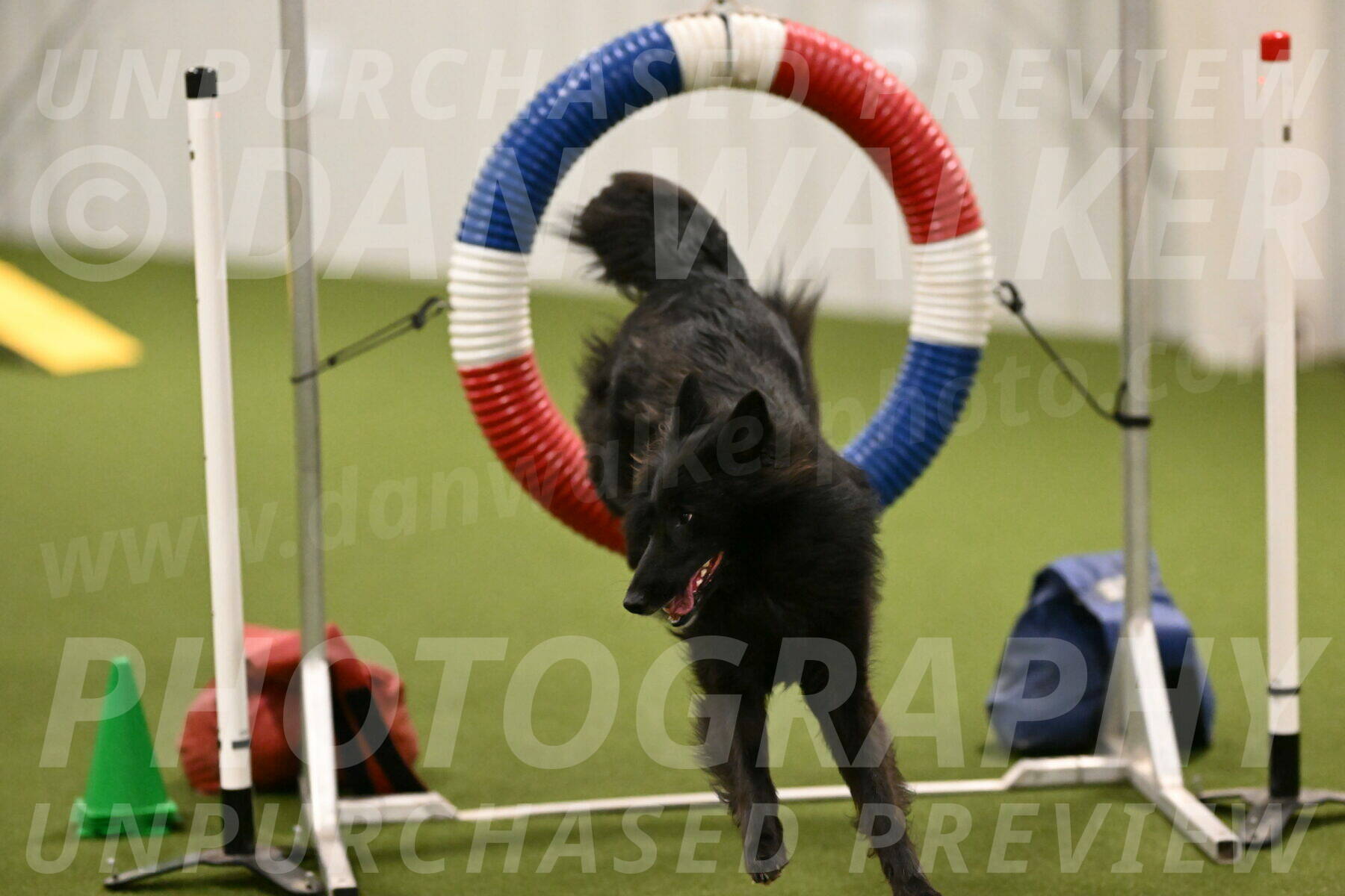 Ana-Jamie-Thompson-09003