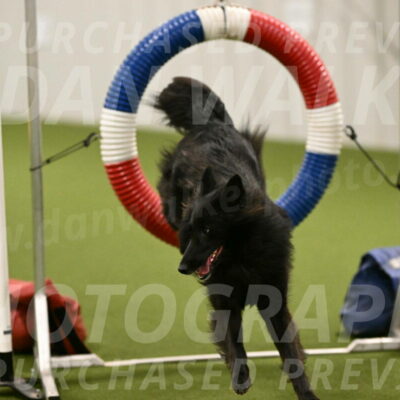 Ana-Jamie-Thompson-09003