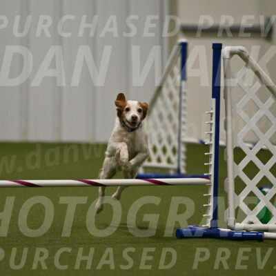 Ana-Jamie-Thompson-09004