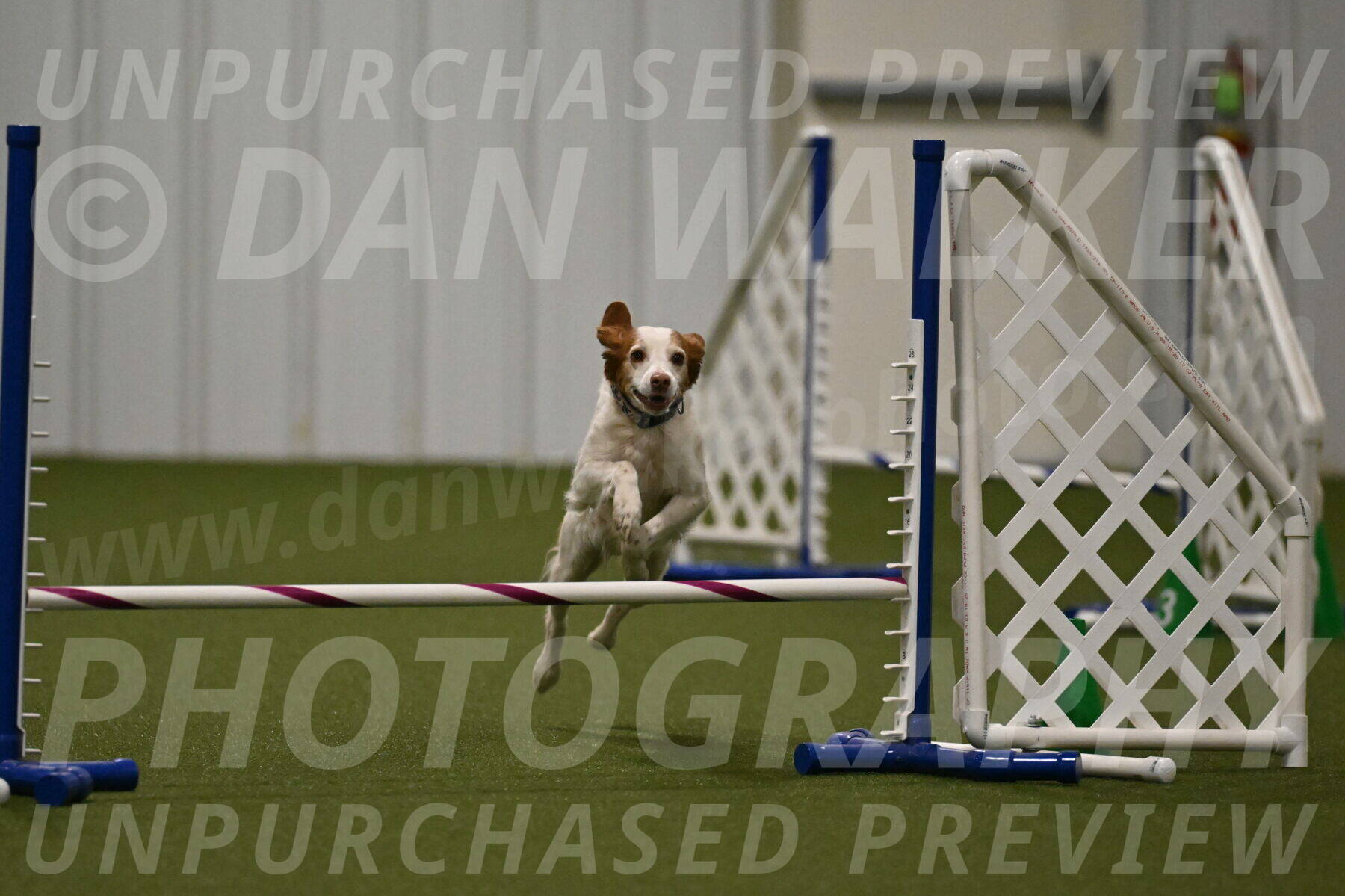 Ana-Jamie-Thompson-09004