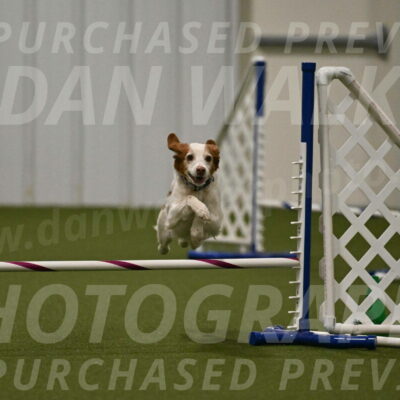 Ana-Jamie-Thompson-09005